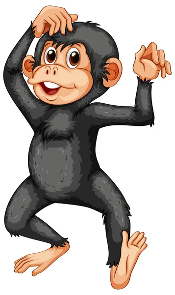 Chimpancé — Vector de stock