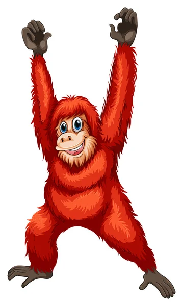 Orangután — Vector de stock