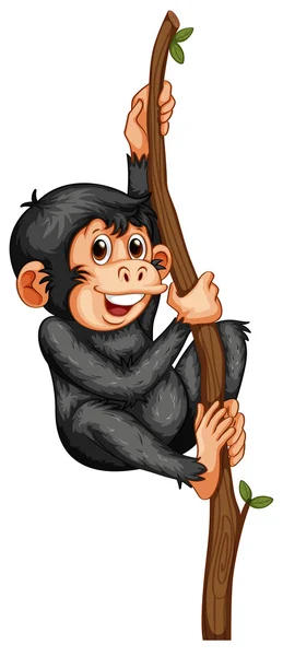 Chimpansee — Stockvector