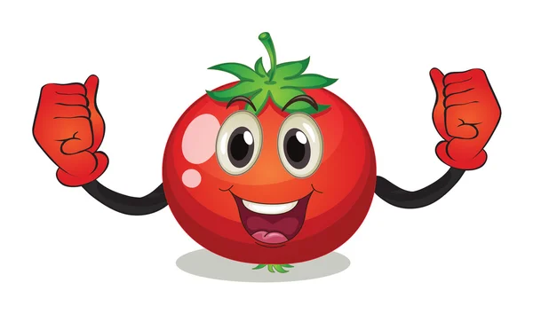 Tomate — Vetor de Stock