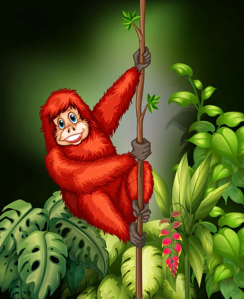 Monkey in jungle — Stock Vector