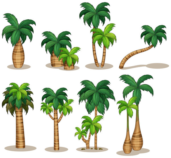 Palm trees — Stock Vector