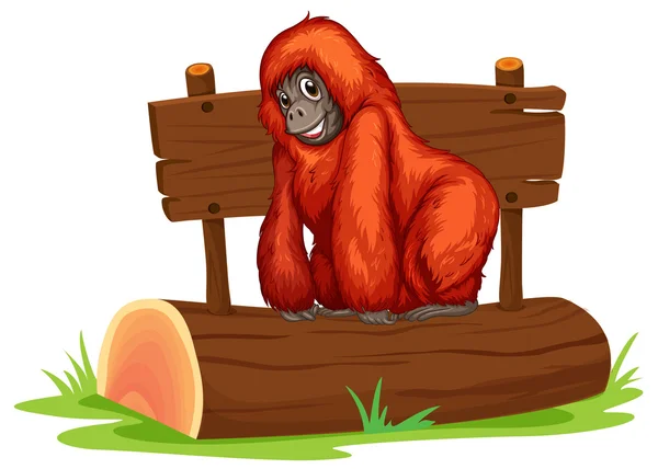 Orangutan — Stok Vektör