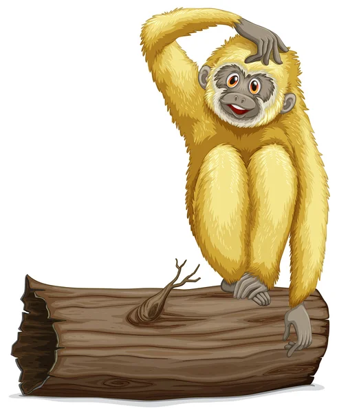 Gibbon em log —  Vetores de Stock