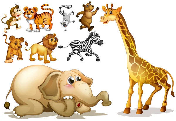 Conjunto de animales — Vector de stock