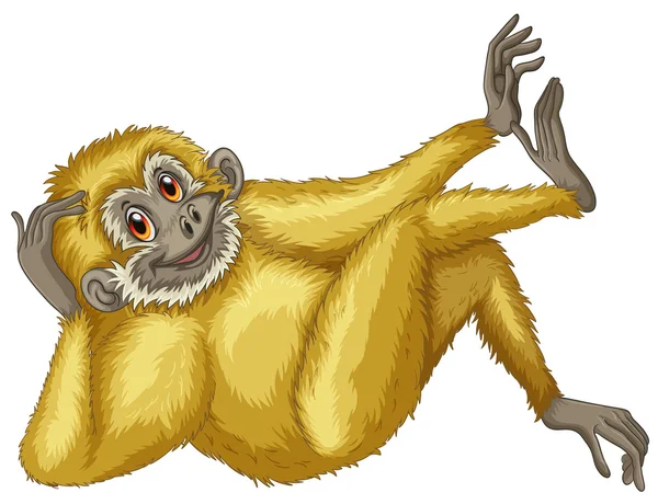 Gibbon. — Vector de stock