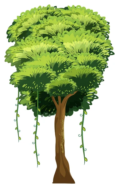 Träd — Stock vektor
