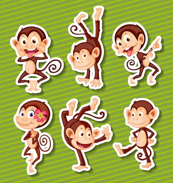 Monkeys set — Stock Vector
