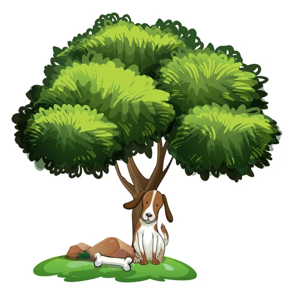 Dog under tree — Stock Vector