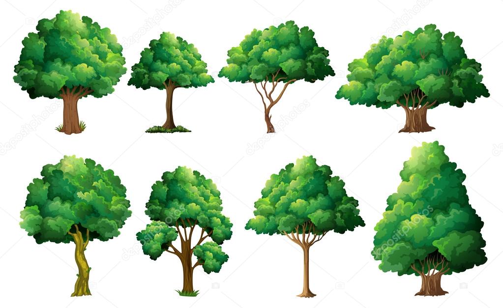 ᐈ Tree Graphics Stock Pictures Royalty Free Tree Vectors Download On Depositphotos ᐈ Tree Graphics Stock Pictures Royalty Free Tree Vectors Download On Depositphotos