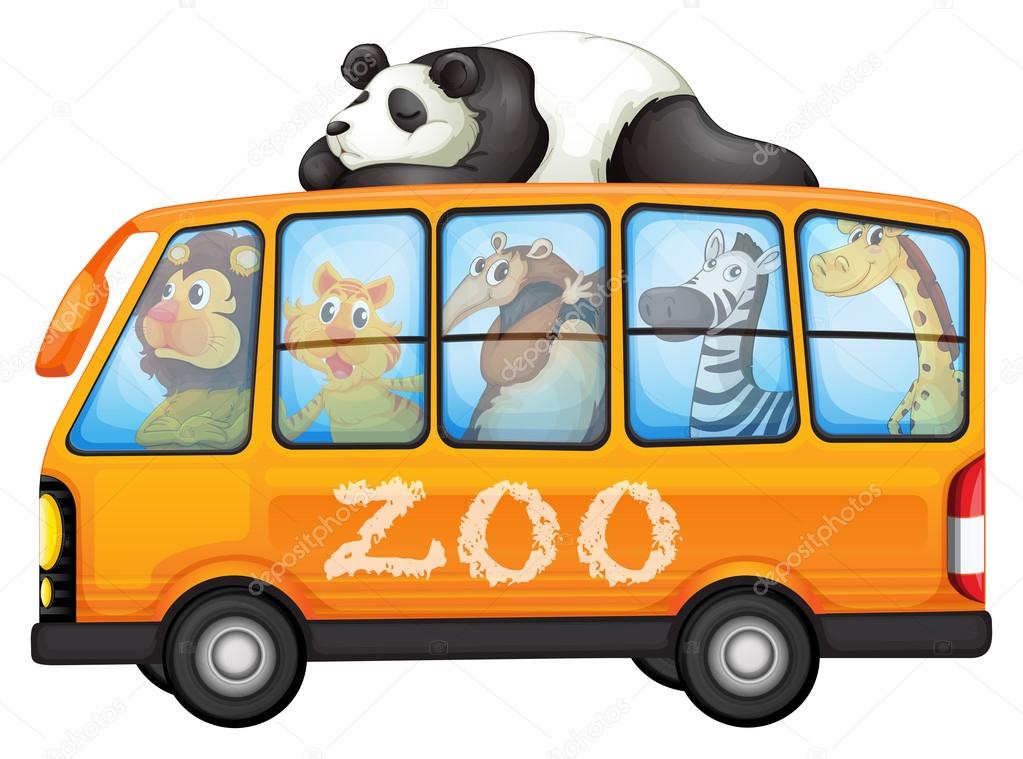 Animals on bus