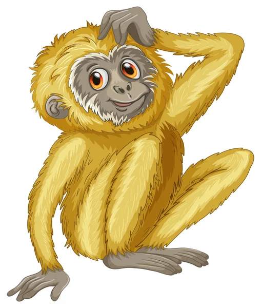 Gibbon ilustrace — Stockový vektor