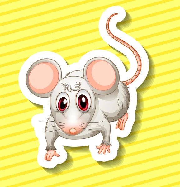 Rat illustratie — Stockvector