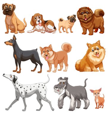 Köpekler illüstrasyon