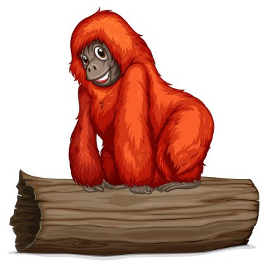 orangutan illüstrasyon