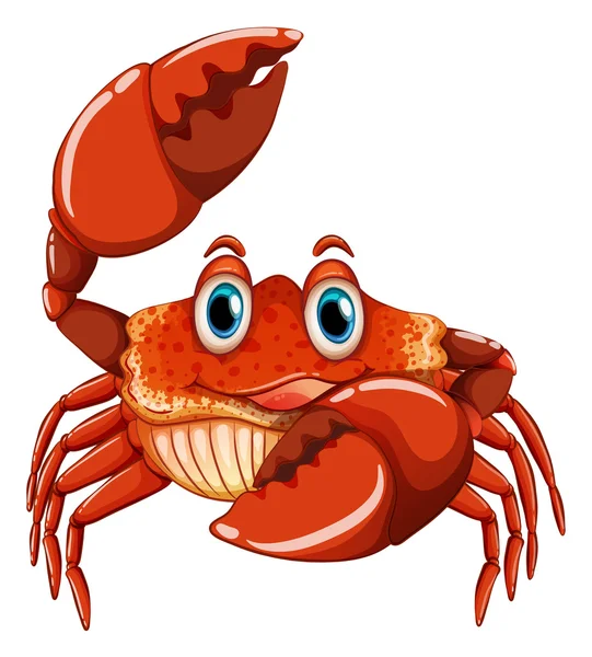 Crab Illustration — Stock Vector