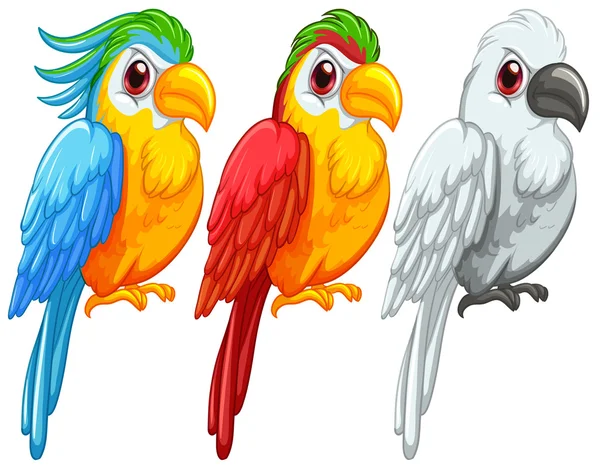 Parrots Illustration — Stock Vector