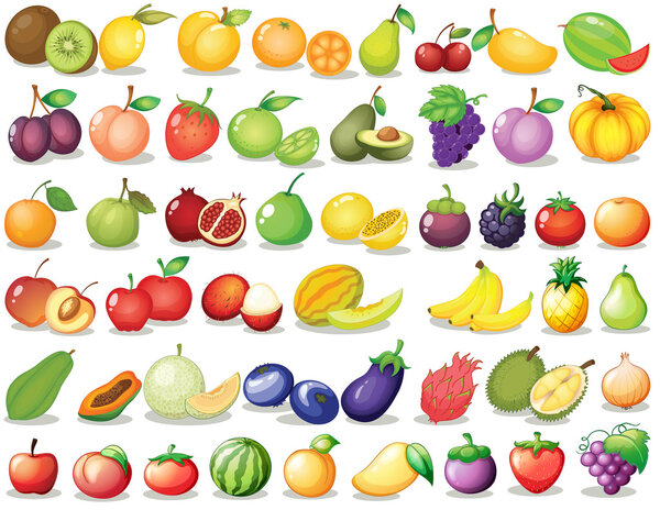 Fruit set