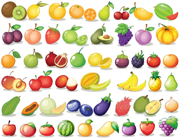 Conjunto de frutas — Vector de stock