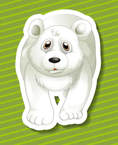 Polar bear Illustration — Stock Vector