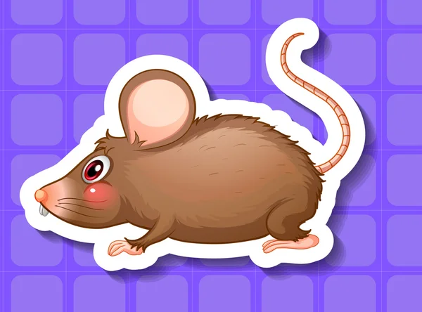 Illustration de rat — Image vectorielle