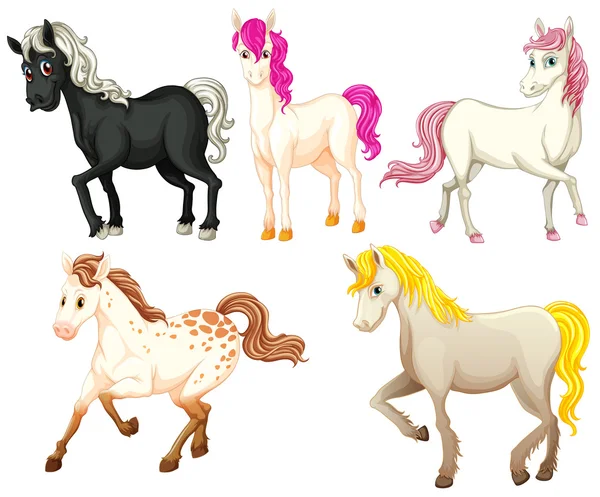 Cavalos Ilustração —  Vetores de Stock