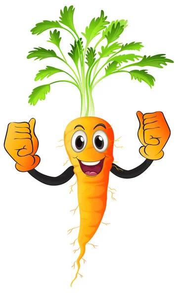 Ilustración de zanahoria — Vector de stock