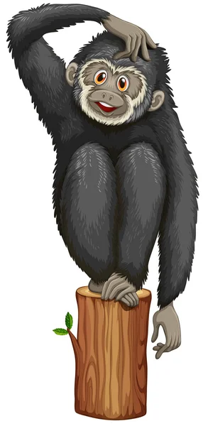 Gibbon ilustrace — Stockový vektor