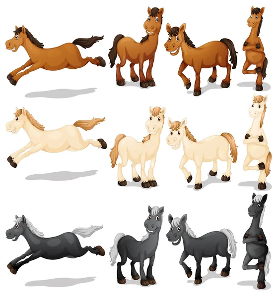 Horse set Illustration — Stock Vector