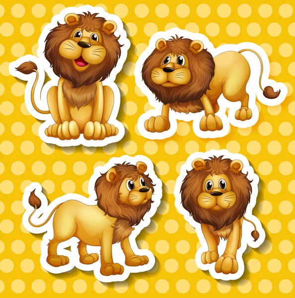 Lion set Illustration — Stock Vector
