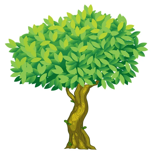 Baum-Illustration — Stockvektor