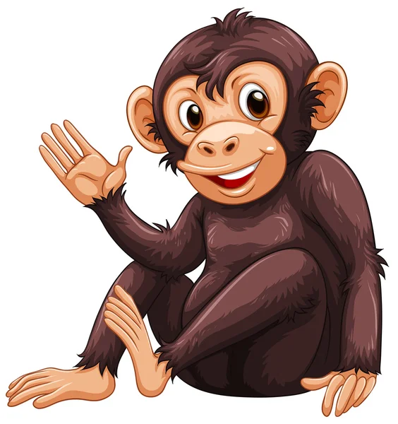 Monkey Illustration — Stock Vector