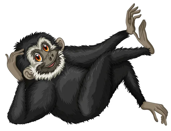 Illustrazione di Gibbon — Vettoriale Stock