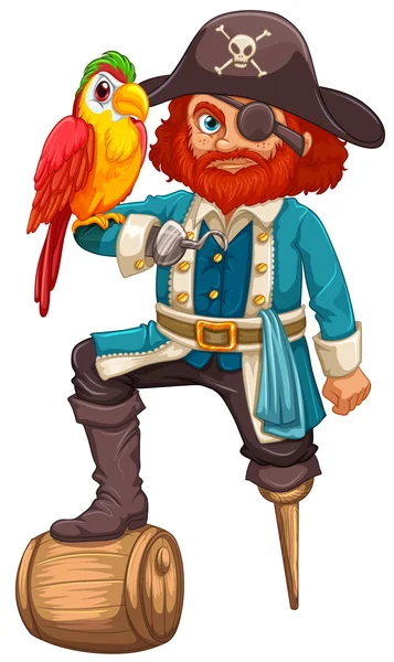 Pirata e pappagallo Illustrazione — Vettoriale Stock