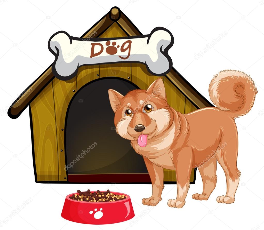 Dog and house