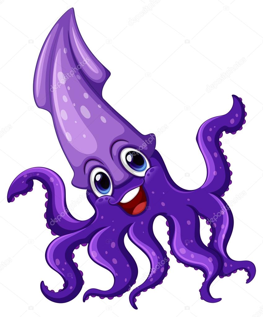 Squid Illustration Stock Illustration by ©interactimages #54094221