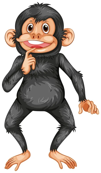 Chimpancé — Vector de stock