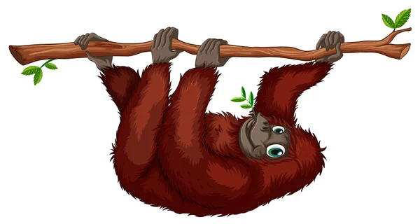 Орангутанг — стоковий вектор