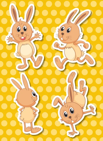 Rabbit — Stock Vector