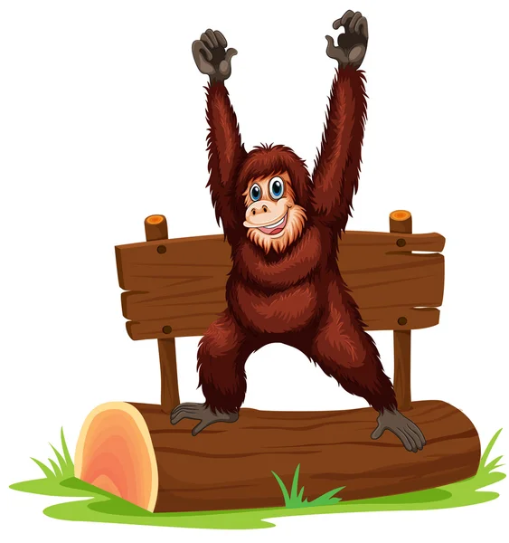 Orangutan — Stock Vector