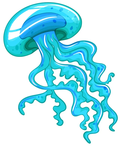 Jellyfish — Stock Vector