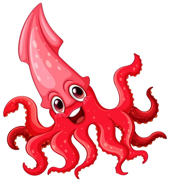 Calamari — Vettoriale Stock