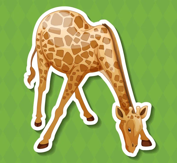 Giraffe — Stock Vector