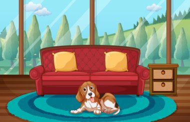 Köpek ve oturma odası