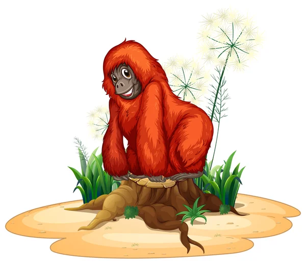 Orangután — Archivo Imágenes Vectoriales