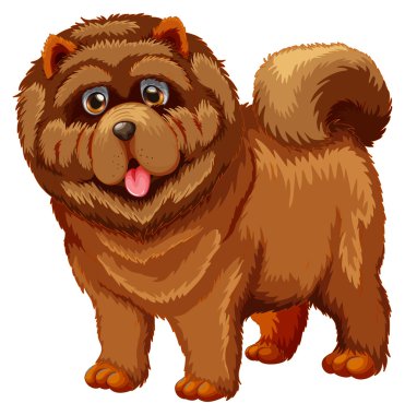 bir köpek resmi