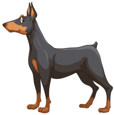bir köpek resmi