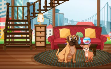 Köpekler ve oturma odası