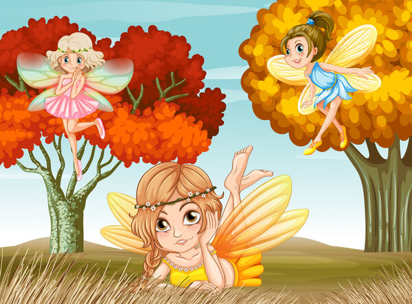 Fairies