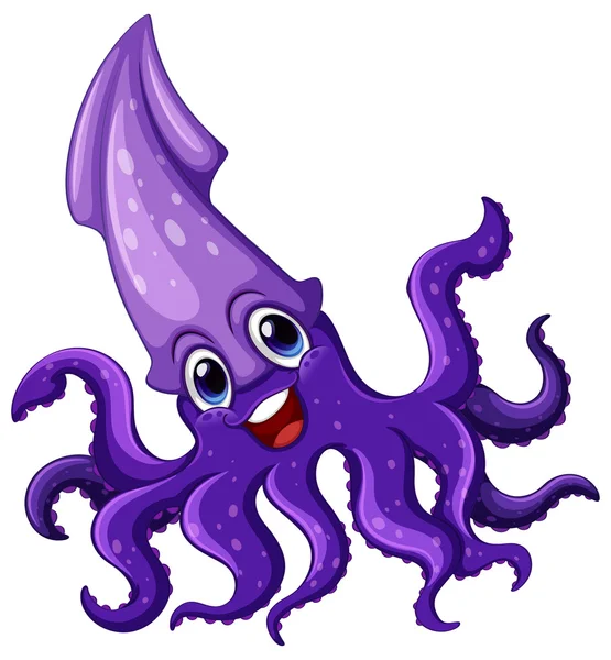 Squid — Stock Vector